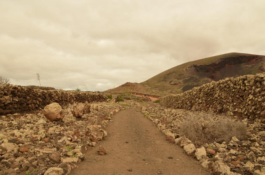 Tayu Eco * Villaverde (Fuerteventura)